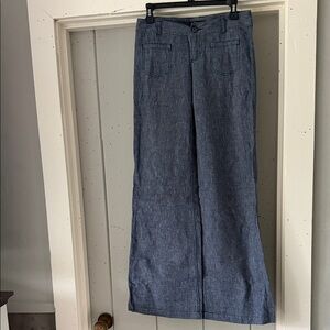 Express Blue Wide Leg Pants